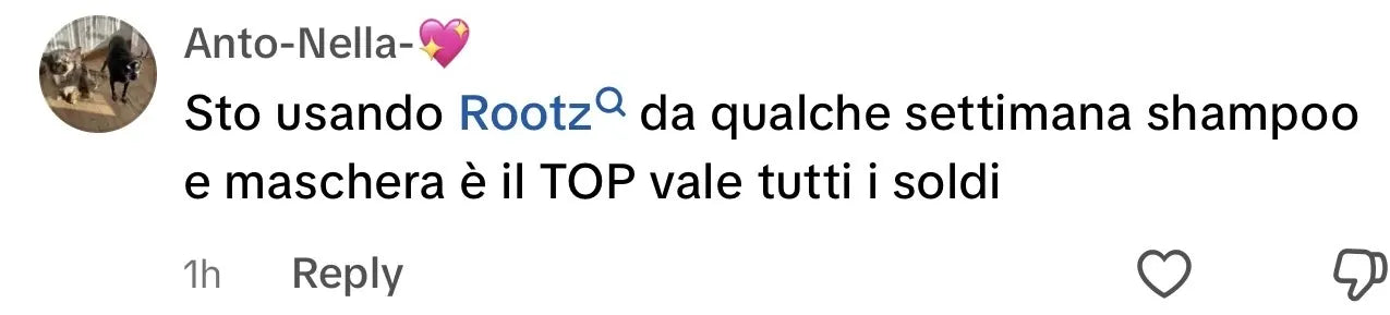Screenshot di un commento su TikTok: “Sto usando Rootz da qualche settimana shampoo e maschera è il TOP vale tutti i soldi”